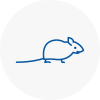 Mice Exterminators In Dibden